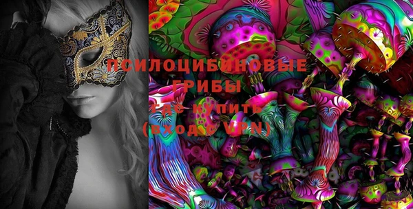 крисы Балахна