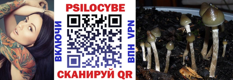площадка клад  Чапаевск  Псилоцибиновые грибы Psilocybe  даркнет сайт 